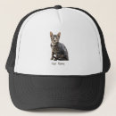 Zoek naar katten petten Dierenvriend