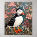 Zoek naar papegaaiduiker posters Dier