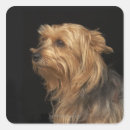 Zoek naar profiel stickers Natuur