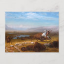 Zoek naar buffels briefkaarten Landschap