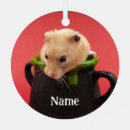 Zoek naar hamsters ornamenten Knaagdier