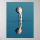 Zoek naar woestijn dieren posters Vogel