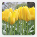 Zoek naar gele tulpen stickers Tuin