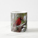 Zoek naar rode vogel mokken Dier