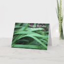 Zoek naar zwager verjaardagskaarten Groen