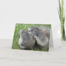 Zoek naar marmot kaarten Grondhok