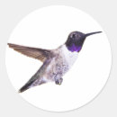 Zoek naar zwarte vogel stickers Elk persoon