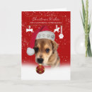 Zoek naar dierenarts kaarten Kerstmis
