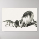 Zoek naar katten afbeeldingen posters Katje