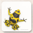 Zoek naar reptielen onderzetters Schalen