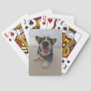 Zoek naar honden speelkaarten Tong