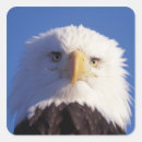 Zoek naar roofdieren stickers Bedreigd