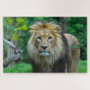 Zoek naar koning puzzels Miljard