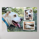 Zoek naar pitbull kunst Gezelschapsdieren