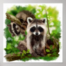 Zoek naar wasbeer posters Bos