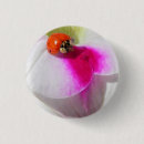 Zoek naar lieveheersbeestje buttons Roze