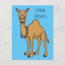 Zoek naar camel briefkaarten Woestijndier