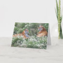 Zoek naar wilde tijger kaarten Elk persoon