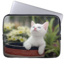 Zoek naar huisdieren laptop sleeves Kat