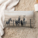 Zoek naar kwart paard kussens Ranch