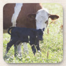 Zoek naar landelijk onderzetters Horizontaal