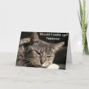 Zoek naar de grappige van de kat verjaardagskaarten Gelukkige verjaardag