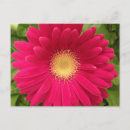 Zoek naar 7x5 posters Tuin