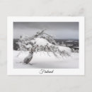 Zoek naar mooie natuur briefkaarten Winter