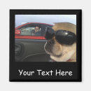 Zoek naar hond auto magneten Huisdier