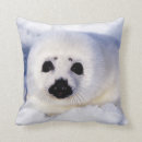 Zoek naar zegel kussens Wild