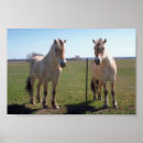 Zoek naar noorse fjord posters Paarden