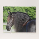 Zoek naar friesian horse puzzels Hoofdschot