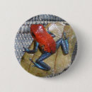 Zoek naar leuke kikker buttons Elk persoon