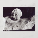 Zoek naar rodin briefkaarten Bust