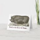 Zoek naar vintage varken kaarten Grappig