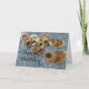 Zoek naar pekinees kaarten Honden