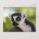 Zoek naar maki briefkaarten Wild
