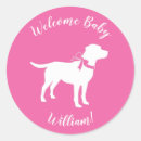 Zoek naar laboratorium stickers Puppy