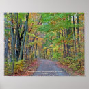 Zoek naar herfst bos posters Pad