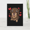 Zoek naar daschund kaarten Hondenliefhebber