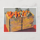 Zoek naar florida sinaasappels briefkaarten Vintage