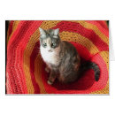 Zoek naar afghaanse kaarten Huisdier