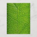 Zoek naar aarde briefkaarten Recycling