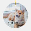 Zoek naar hond verjaardag ornamenten Huisdier