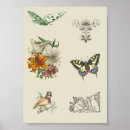 Zoek naar bloemen afbeeldingen posters Vogels