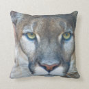 Zoek naar prooi kussens Dier