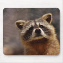 Zoek naar racoon muismatten Wild