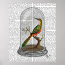 Zoek naar vogels posters Steampunk