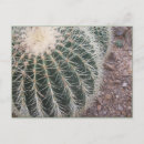Zoek naar cactus briefkaarten Planten