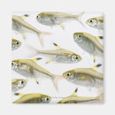 Zoek naar fish magneten Dieren